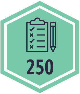 Validator badge, level 2